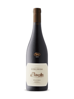 Refosco dal Peduncolo Rosso Pucino Collavini 2021