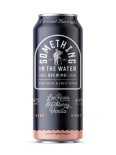 Something In The Water Blackberry Vanilla Sour