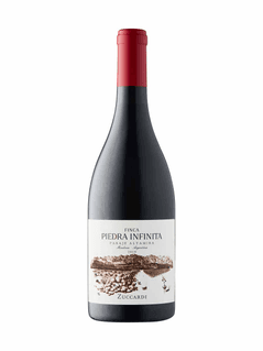 Zuccardi Finca Piedra Infinita Malbec 2019