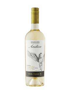 Miguel Torres Ándica Reserva Sauvignon Blanc 2024