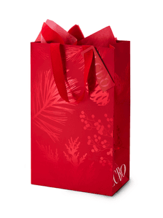Enhanced 2 Bottle Bag