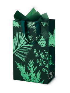 Sac des Fêtes pour deux bouteilles