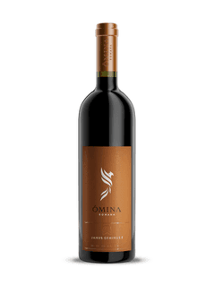 Ômina Romana Janus Geminus I 2015