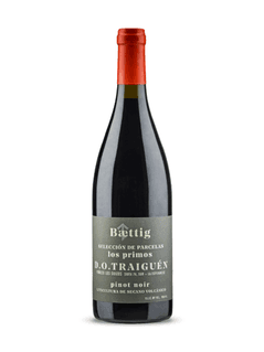 Baettig Selección de Parcelas Los Primos Pinot Noir 2022
