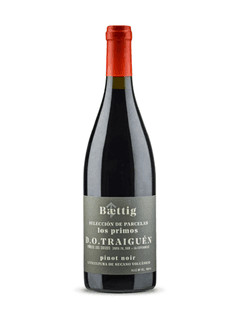 Baettig Selección de Parcelas Los Primos Pinot Noir 2016