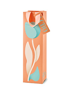 Enhanced 1 Bottle Bag