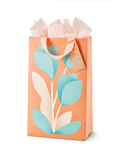Enhanced 1 Bottle Bag