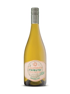 Caliterra Tributo Sauvignon Blanc 2022