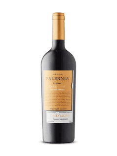 Falernia Reserva Carmenere Pedriscal Single Vineyard 2021