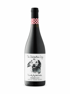 Babic The Dalmatian Dog 2022