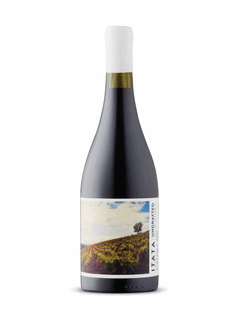 De Martino Ungrafted Cinsault 2022