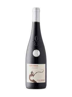 Anjou Rouge Sur Le Fruit Domaine Matignon 2021