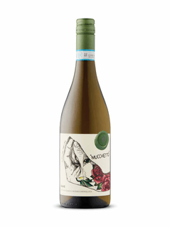 Pasqua Mucchietto Organic Soave 2023