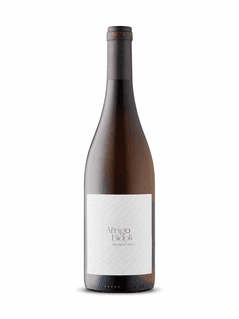Arrigo Bidoli Sauvignon Blanc 2024