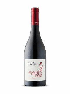 Barbera d'Asti L'Altra Anima Banfi 2022
