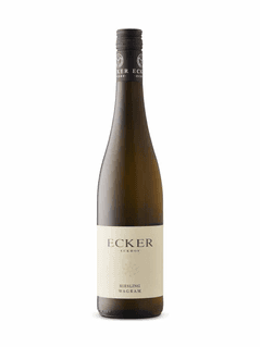 Ecker Riesling Wagram 2024