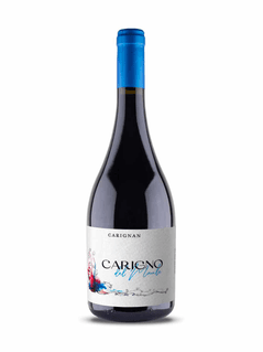 Moretta Carigno De Maule Carignan 2022
