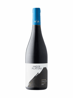 ANDES PLATEAU COTA 500 CONCRETE CABERNET FRANC 2023