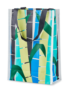 Reusable 2-Bottle Bag