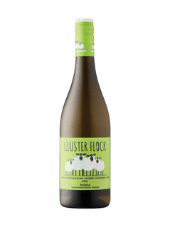 Cluster Flock White 2025
