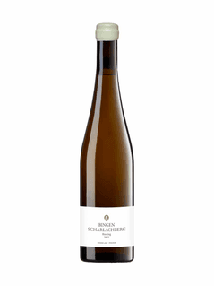 Riesling Scharlachberg Trocken 2022