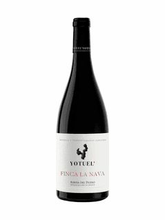Yotuel Finca La Nava 2019