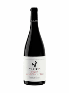 Yotuel Finca Valdepalacios 2020