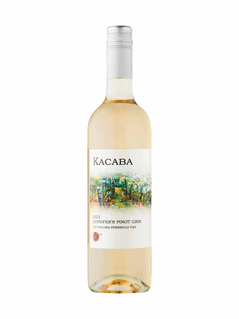 Jennifer's Pinot Gris 2023