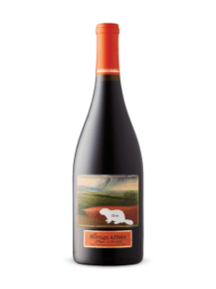 Pinot Noir The Foreign Affair 2013
