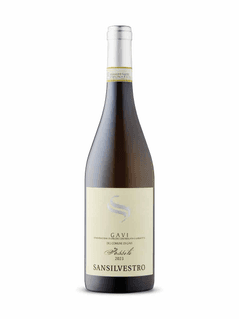 San Silvestro Fossili Gavi di Gavi 2023
