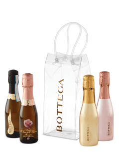 Bottega Mini Sparkling Icebag Set