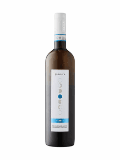 Falanghina del Sannio Senete Janare 2024