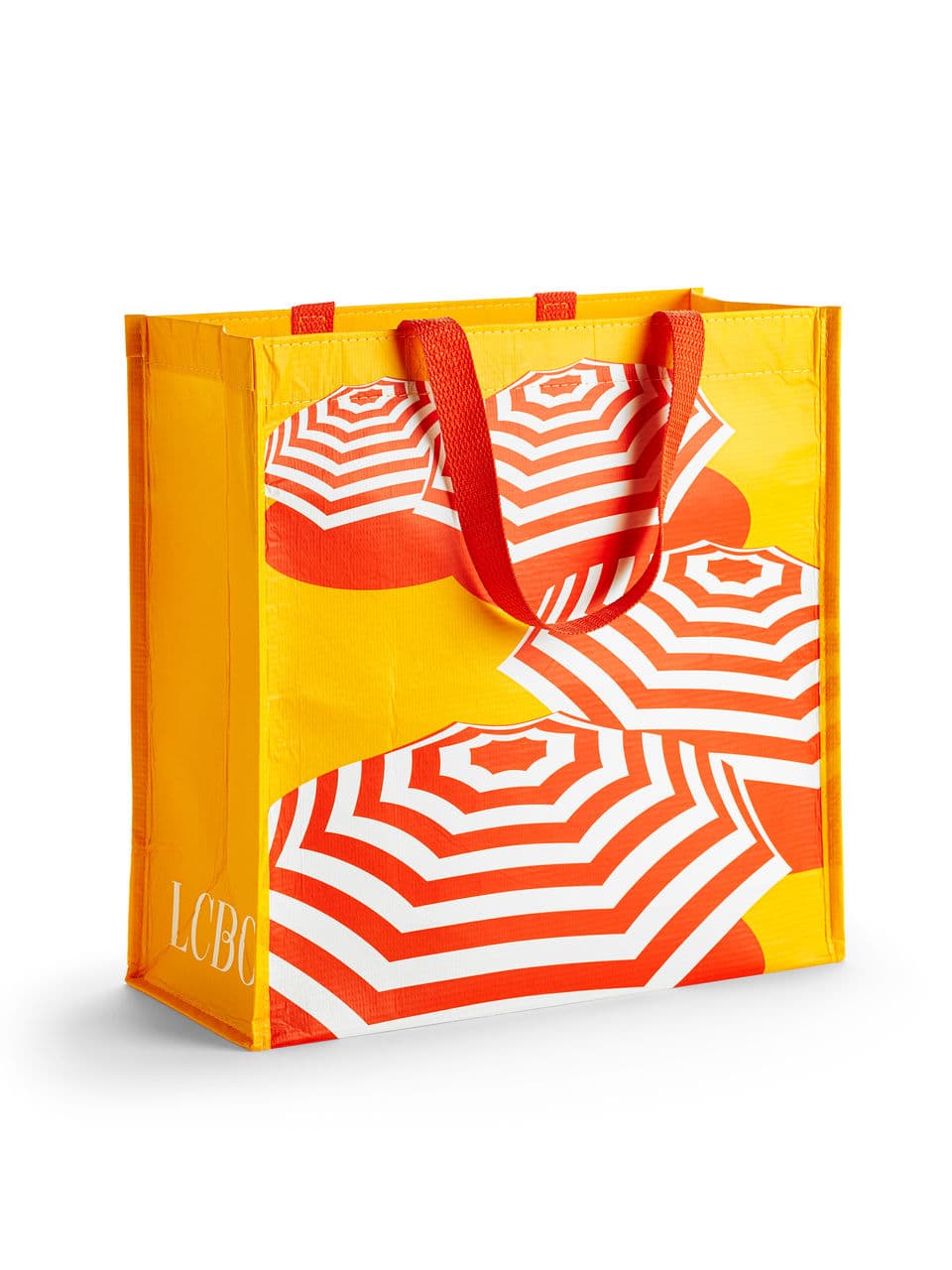 Reusable Large Bag