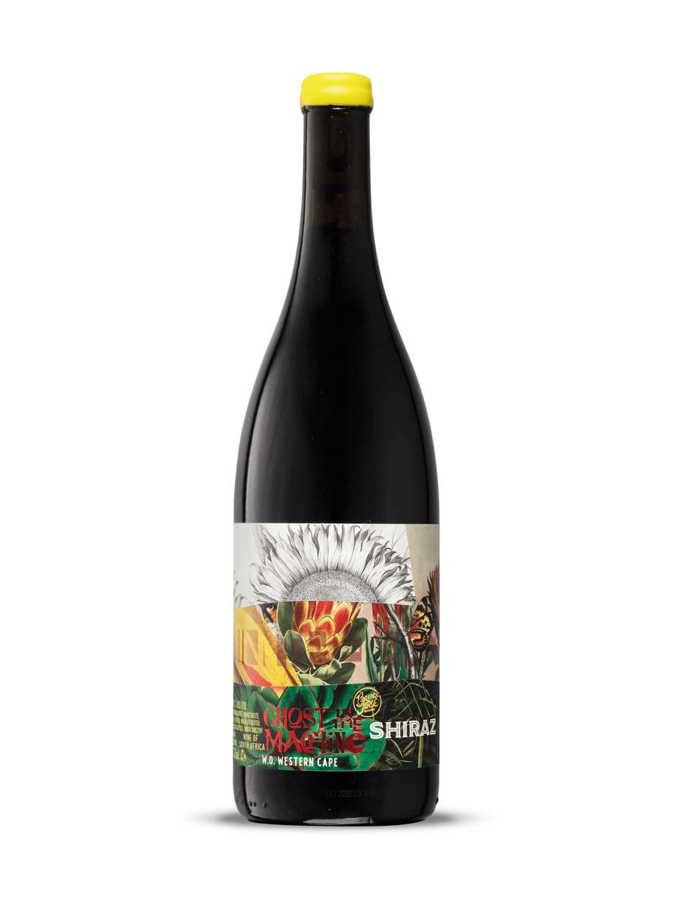 Ghost in the Machine Shiraz 2021