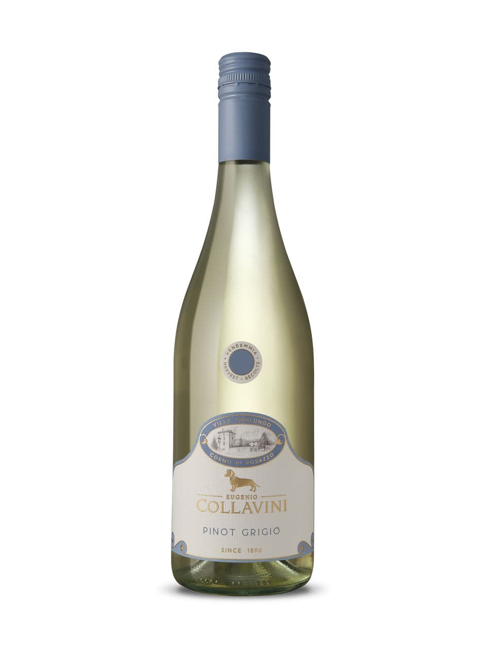 Pinot grigio Collavini