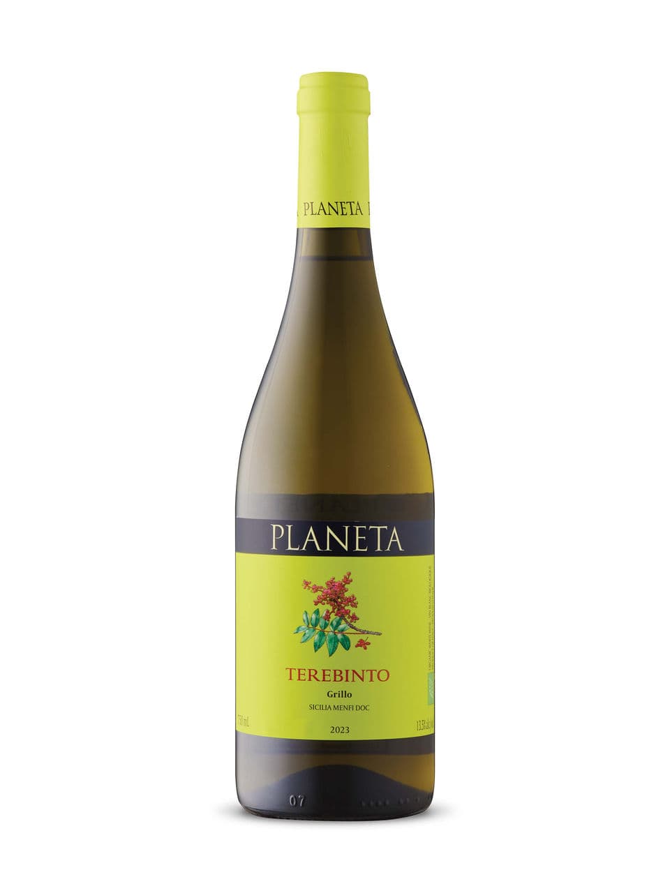 Planeta Terebinto Grillo 2022