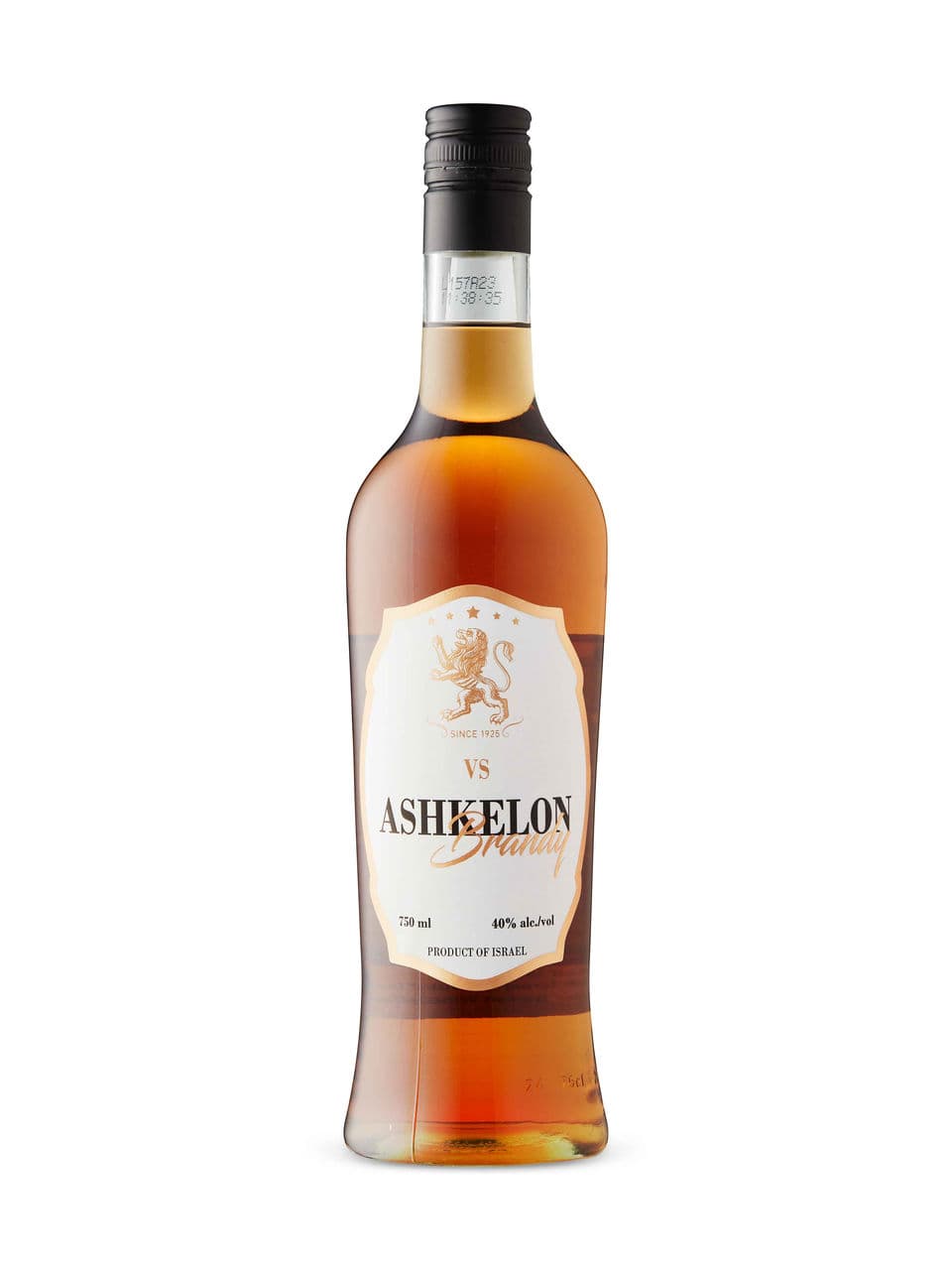 Brandy VS Ashkelon KP