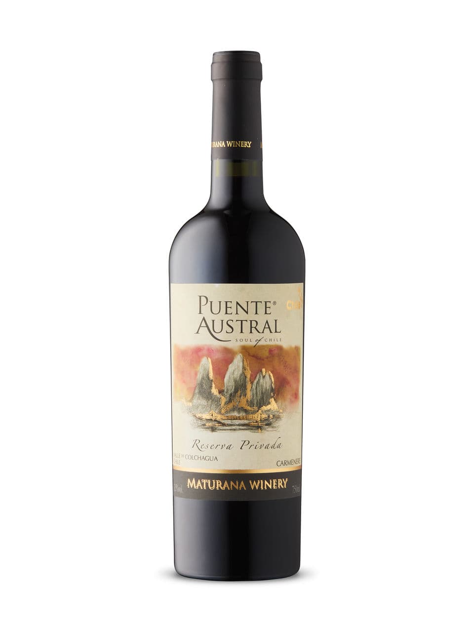 Maturana Puente Austral Reserva Privada Carmenère