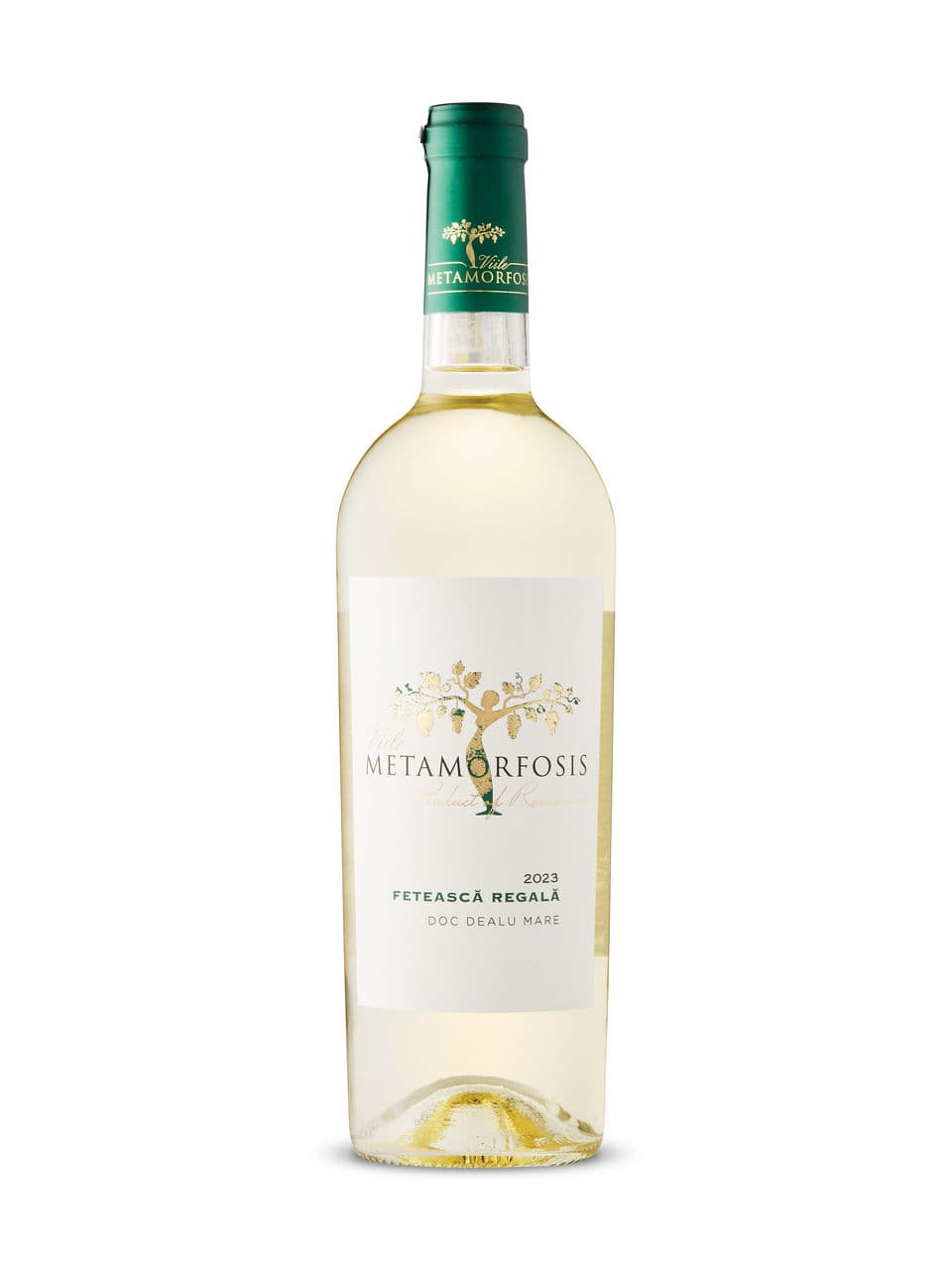 Feteasca Regala Vitis Metamorphosis 2023
