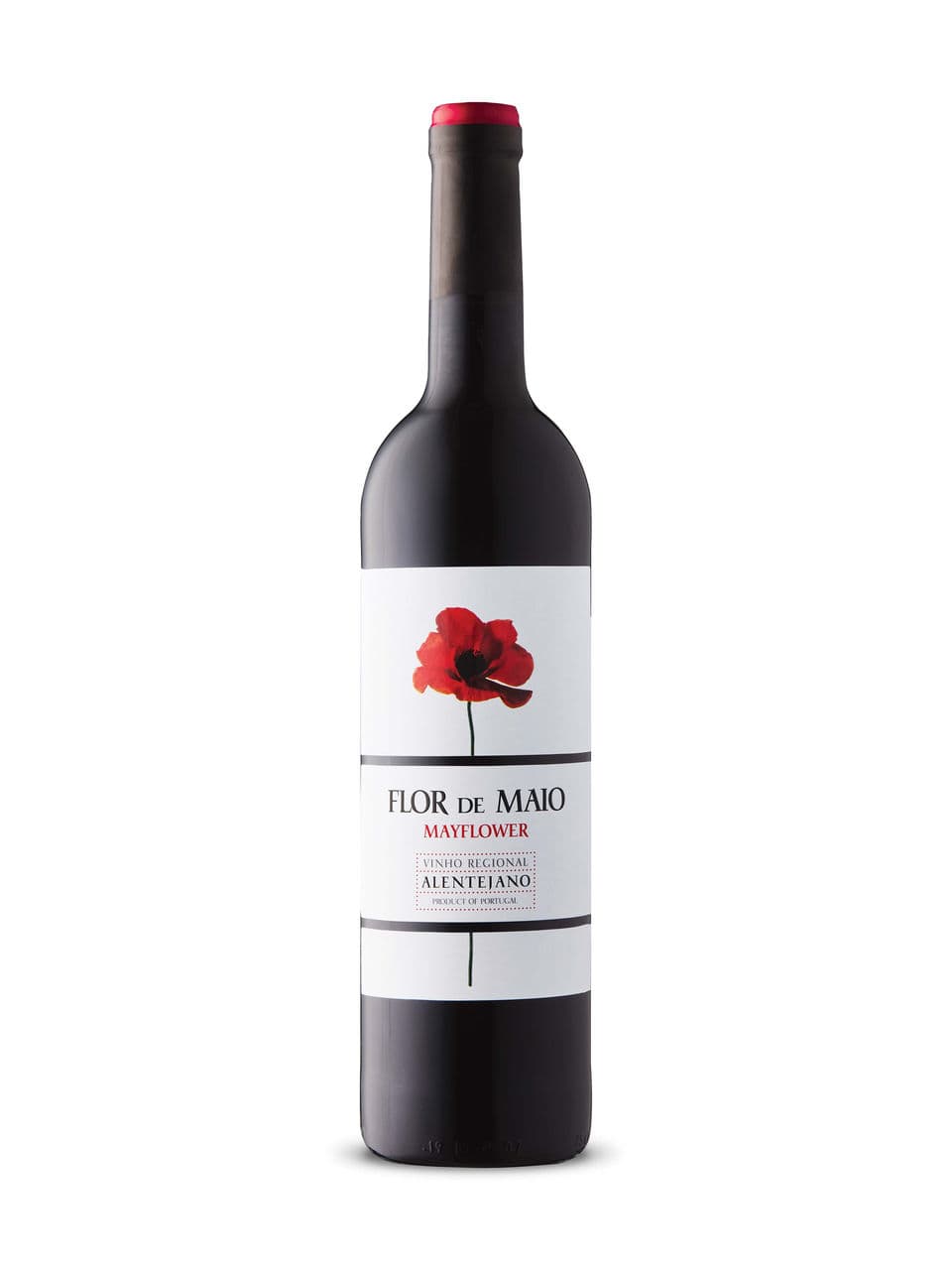 Flor de Maio Mayflower 2021