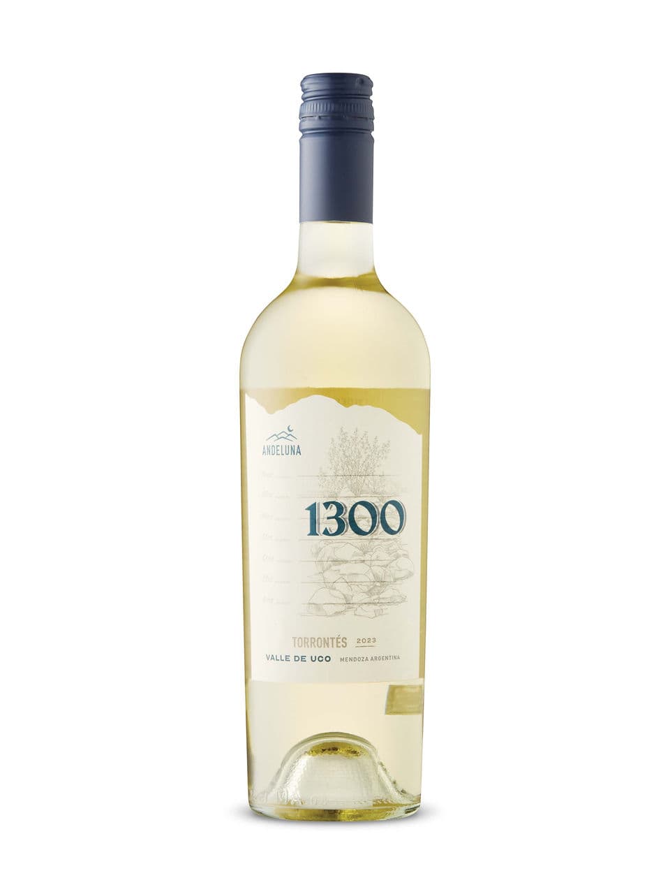 Andeluna Torrontes Uco Valley 2023