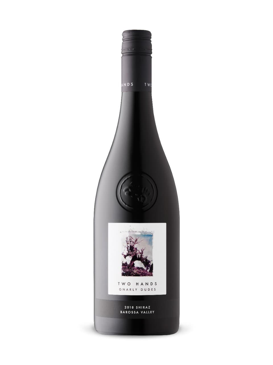 Two Hands Gnarly Dudes Shiraz